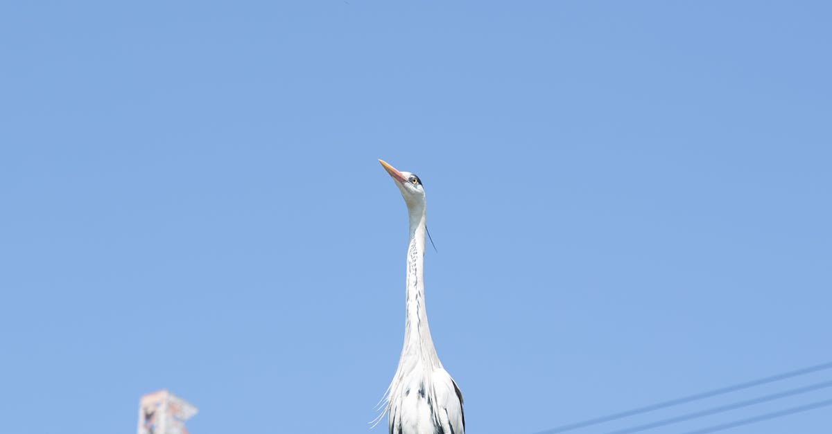 How to Prepare for a Power Outage